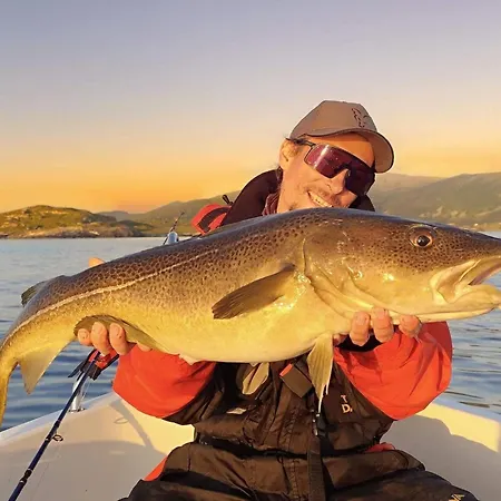 6 Person In Bjarkoy Hébergement de vacances *